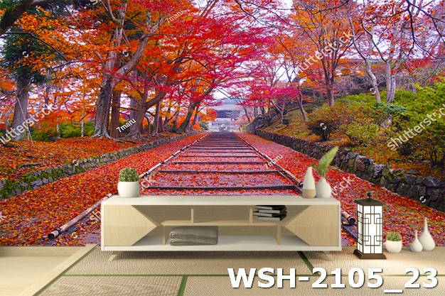 Con đường mùa thu WSH-2105_23